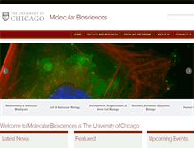 Tablet Screenshot of molbio.uchospitals.edu